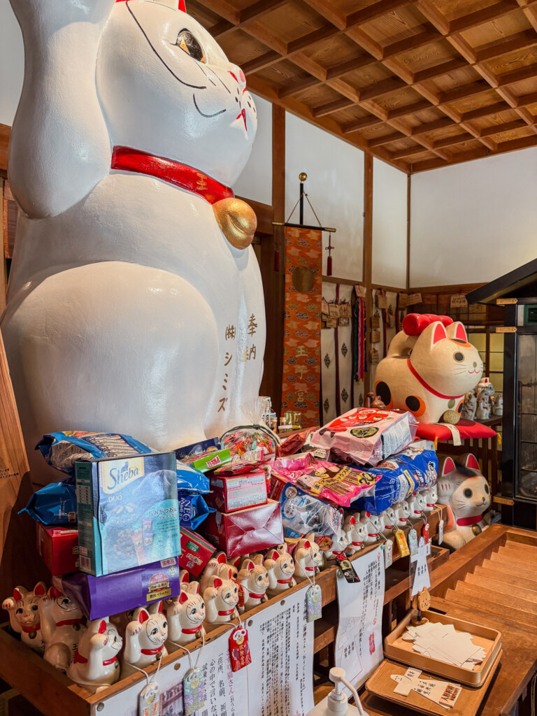 青山晃也選手と王子神社×うどん食堂あさひデート【まいど、お騒がせします!徳島ガンバロウズ 中務敏宏】 balltrip MAGAZINE(ボールトリップマガジン)